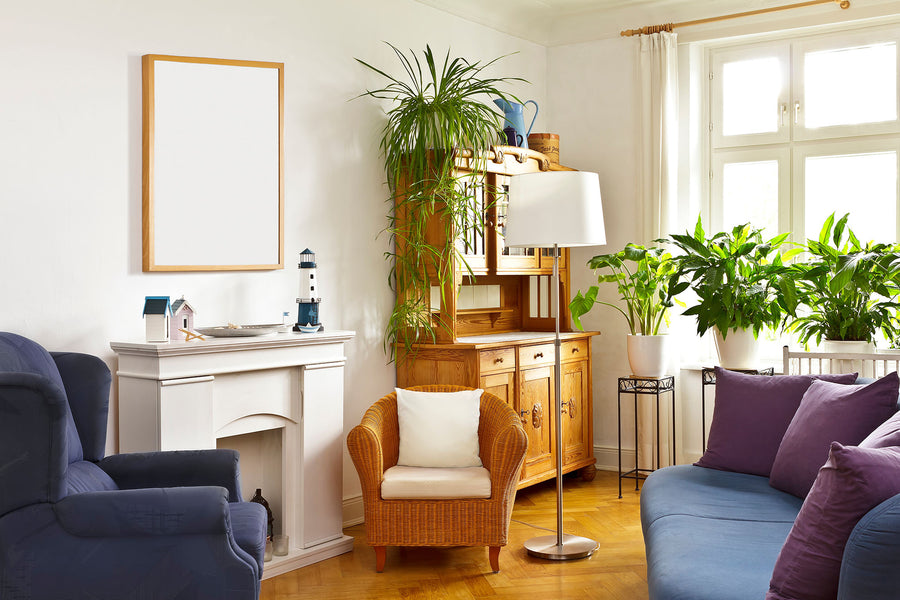 How to custom frame a picture?