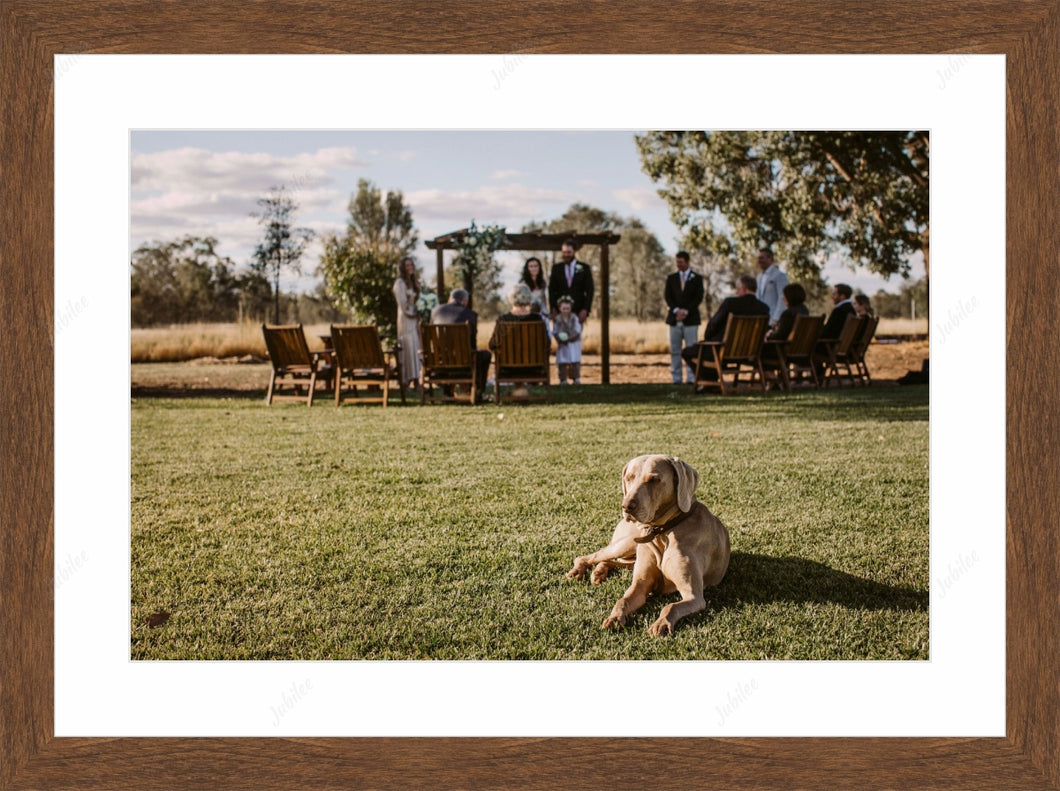 Frame with mat & glazing