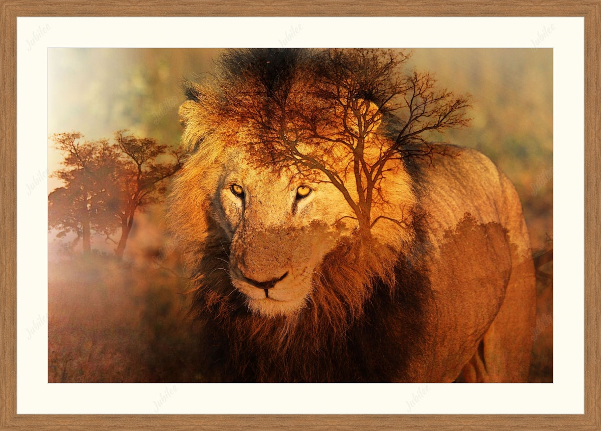 Frame With Mat Glazing Jubilee Framers