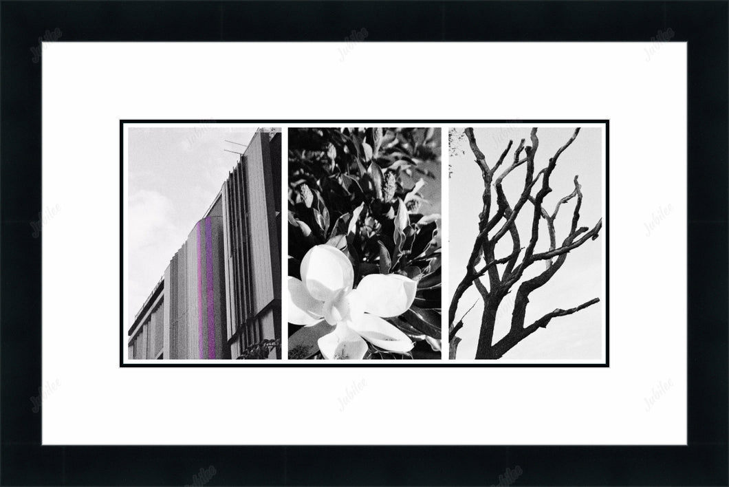 Frame with mat & glazing