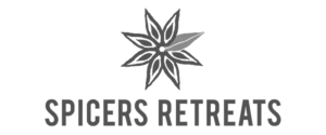 logo 12