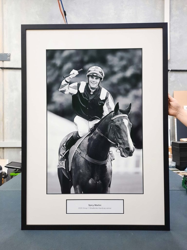 Custom framed Spicy Martini racing photograph for Brisbane Racing Club by Jubilee Framers
