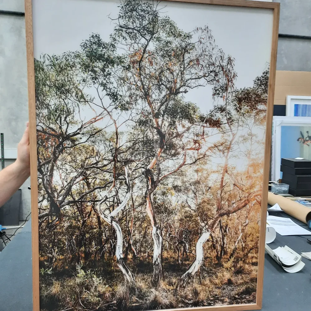 What We Frame Jubilee Framers