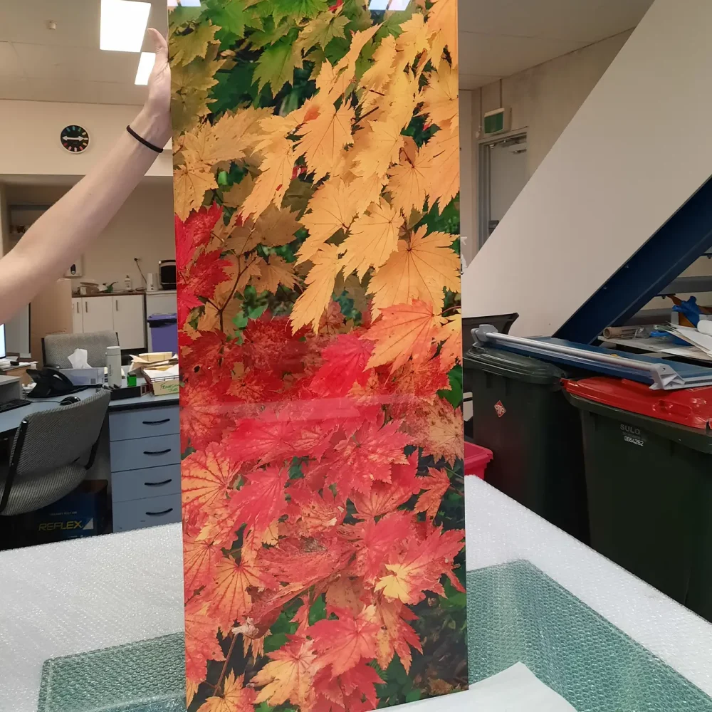 Why Upgrade Your Glass Jubilee Framers